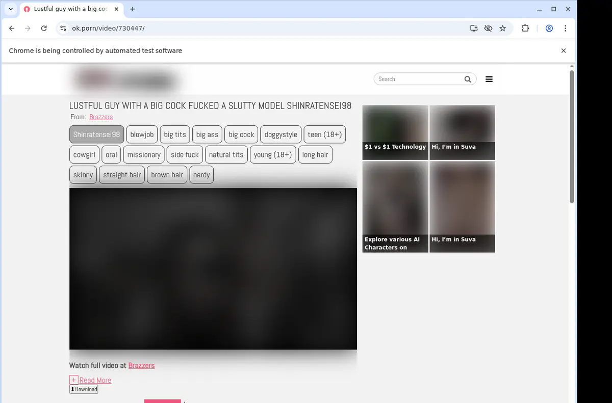 Okporn Video Downloader screenshot 2