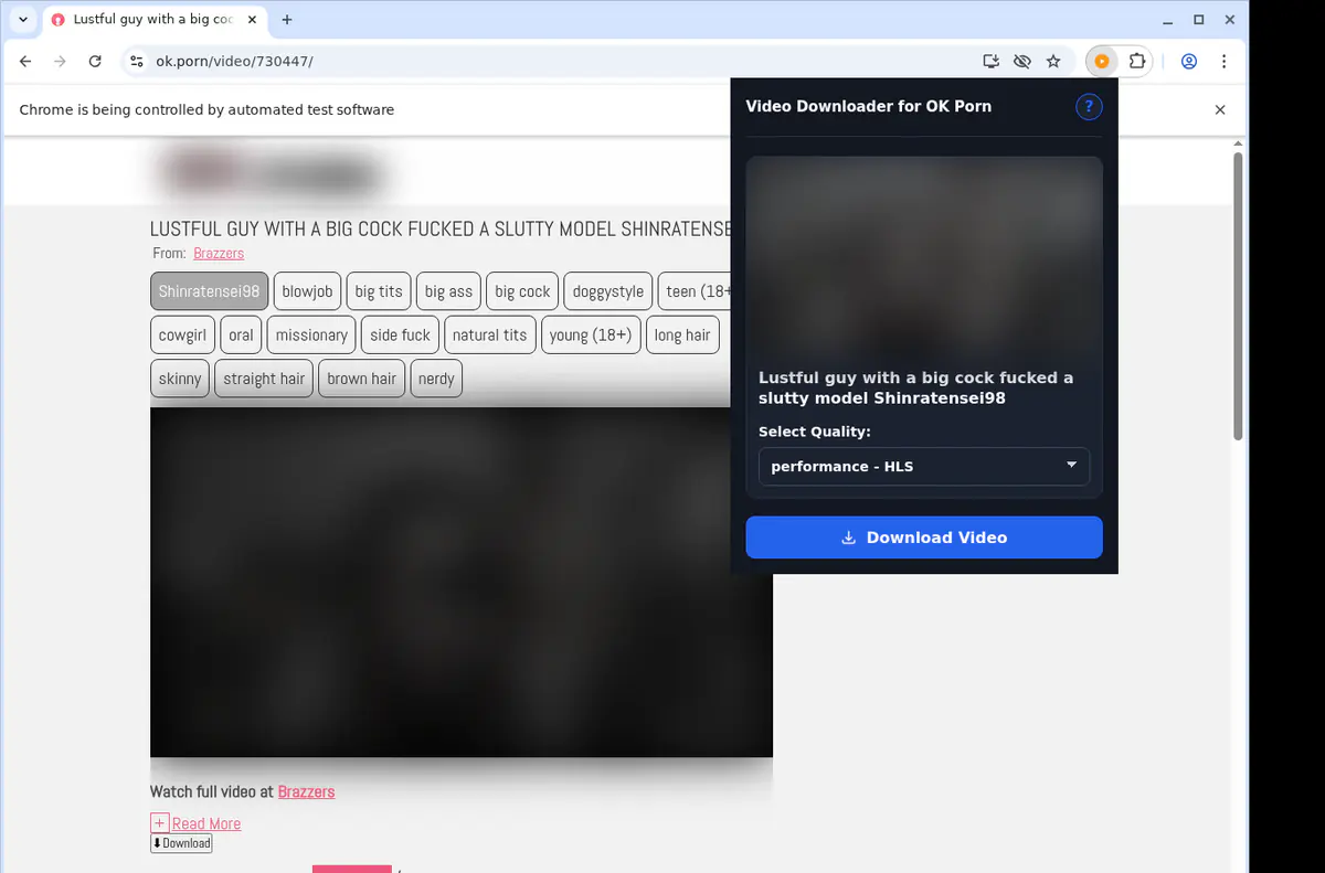 Okporn Video Downloader screenshot 3